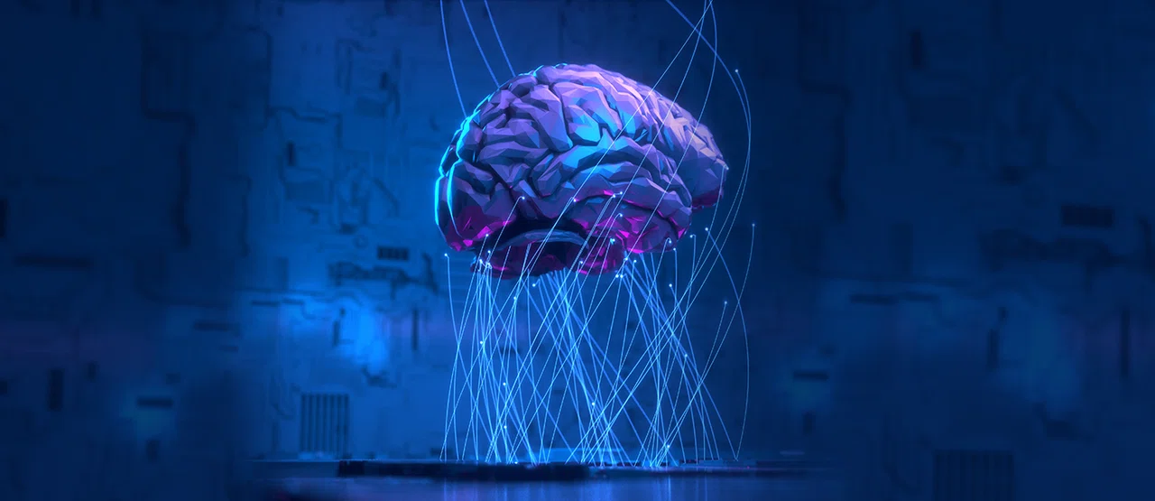 Brain Mapping and Memory